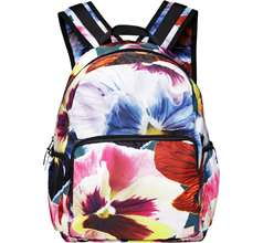 Big Backpack Bags & Containers